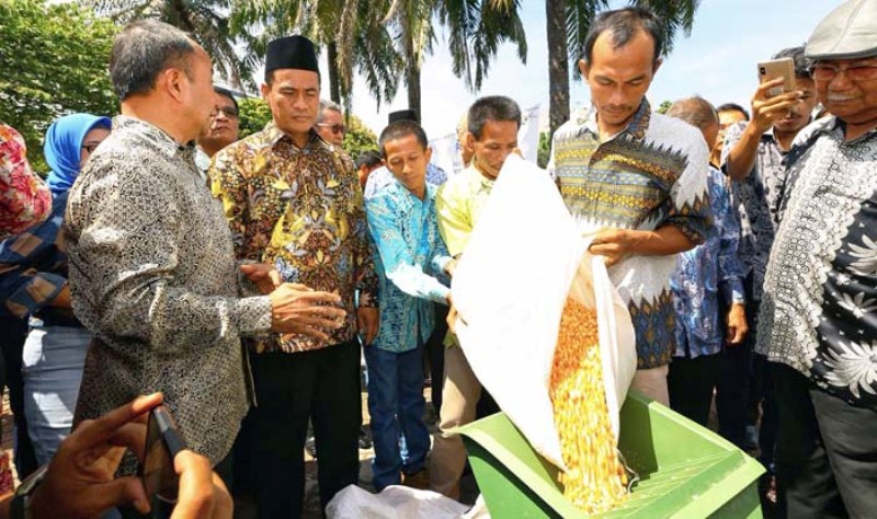 Revisi Anggaran Jagung Rp1 Triliun, Mentan Alokasikan 1.000 Unit `Mobile Corn Dryer`